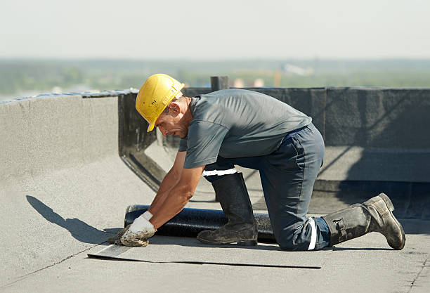Best Cellulose Insulation in Orange Lake, NY